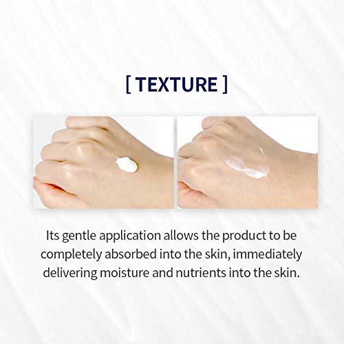 Pyunkang Yul Intensive Repair Cream 50ml Expiry 11 - 2028