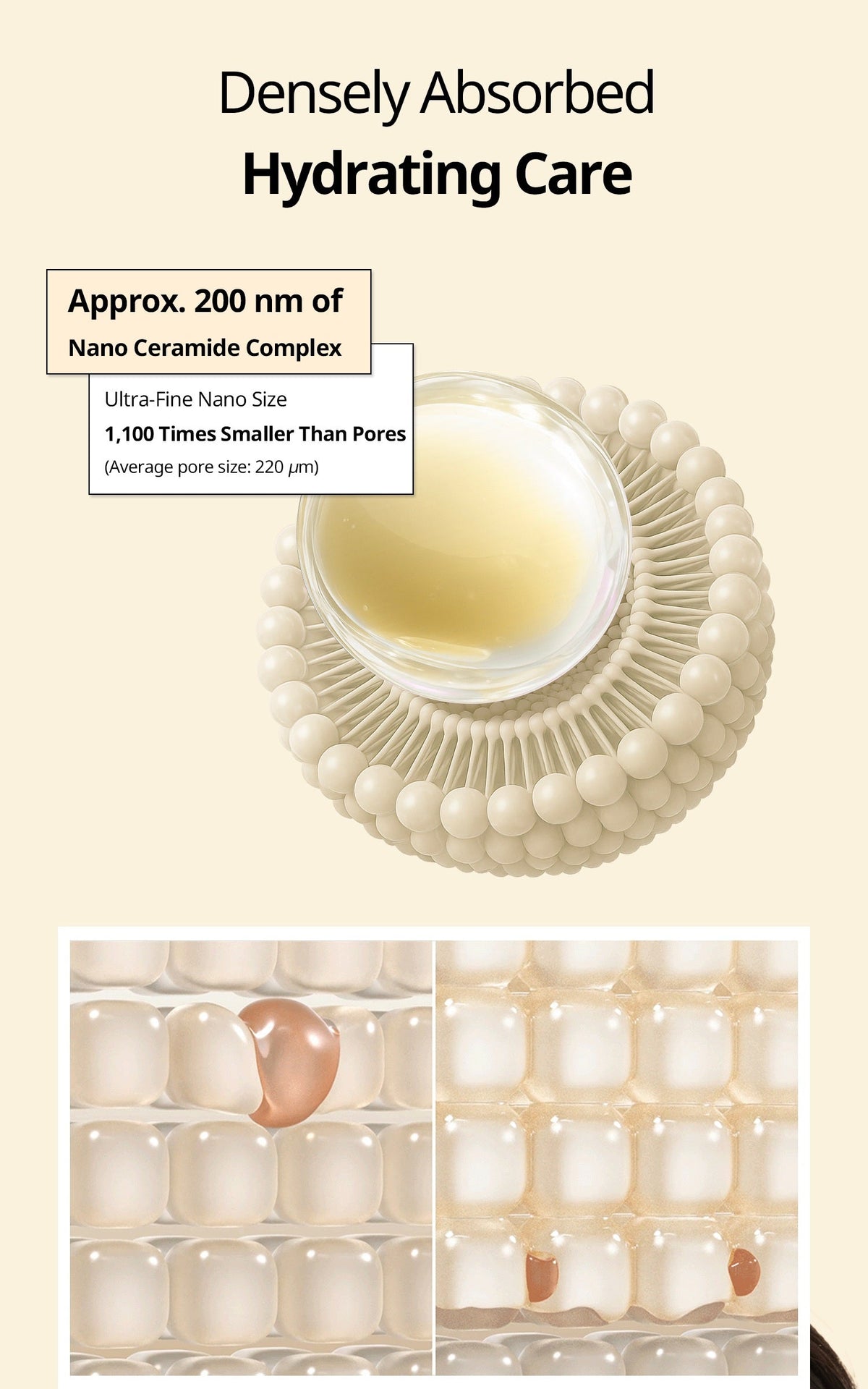 VT Rice Capsule Cream 50ML Expiry 01 - 2029